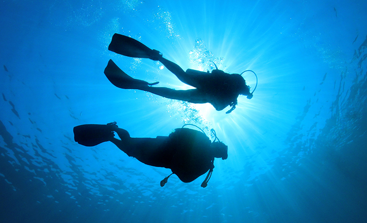 Teign Dive Shop - Paid Advertising by teclan